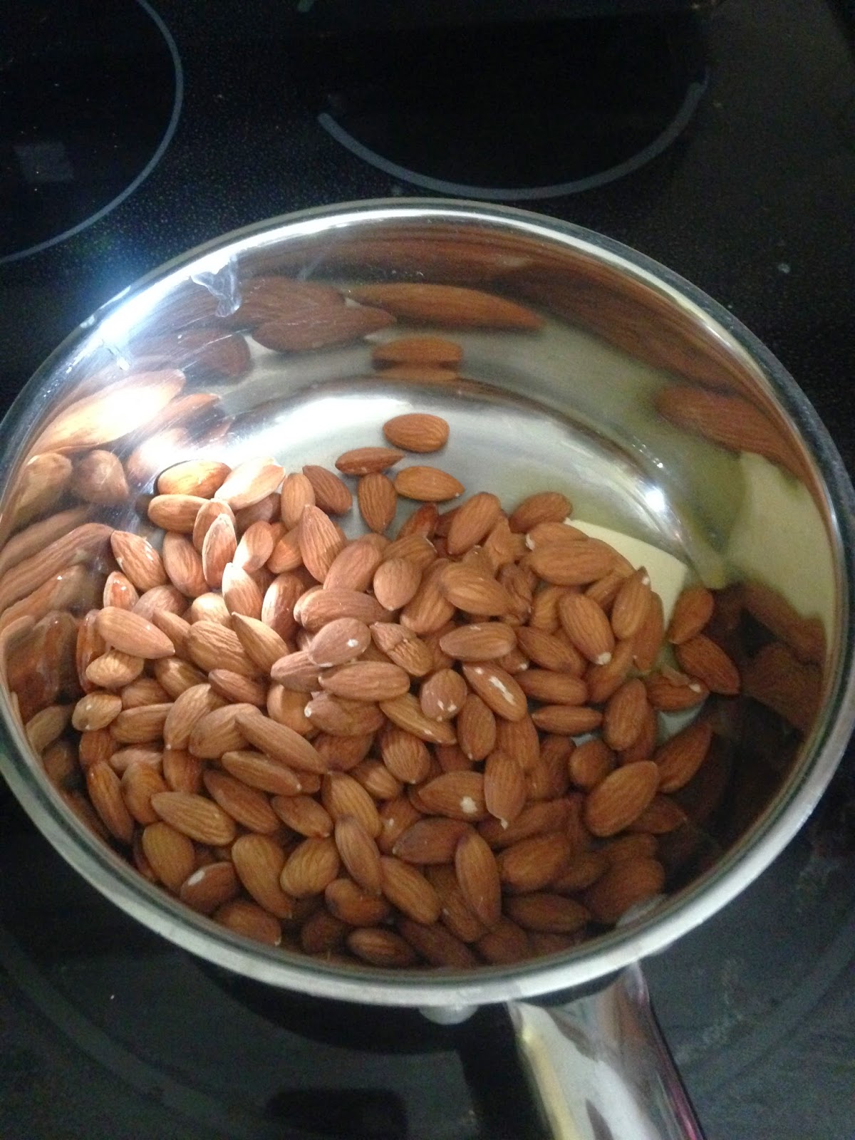 Surviving Motherhood Cocoa Covered Almonds Sugar Free/ Low Carb/THM (S