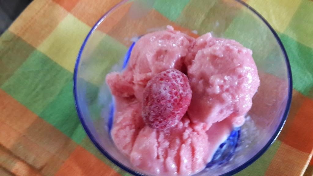 MyRecipes Frozen Yoghurt IceCream