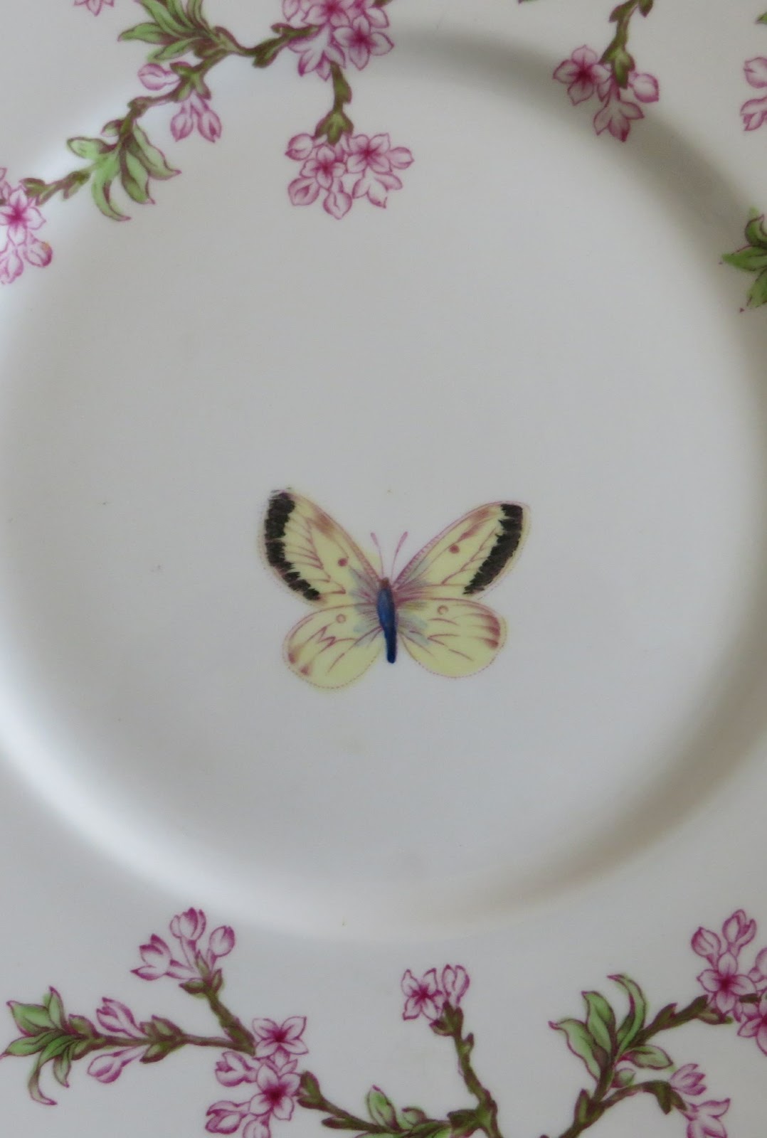 Shortbread & Ginger Beautiful Butterfly Plates