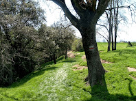 En passar per Ca l'Eudald anem trobant senyals del GR-210, el Camí Vora Ter En passar per Ca l'Eudald anem trobant senyals del GR-210, el Camí Vora Ter