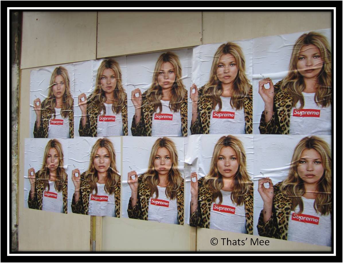 http://2.bp.blogspot.com/-sOAMxep-zs0/T0lZI1VxuoI/AAAAAAAAAIs/oGSRkPUtN9s/s1600/SUPREME-KATE-MOSS.jpg