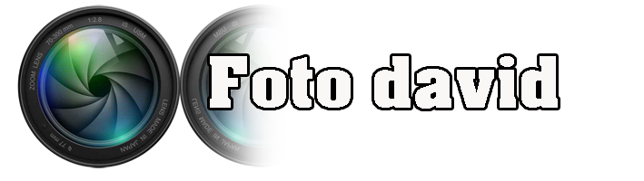 fotodavid