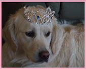 Miss Molly