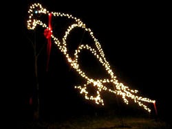 The Crow Giant lighted Crow sculpture