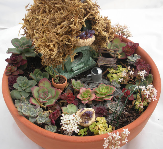mini jardim de cactus:carrinho de mão cerca portão e mobiliário de jardim mini jardim de cactus:carrinho de mão cerca portão e mobiliário de jardim