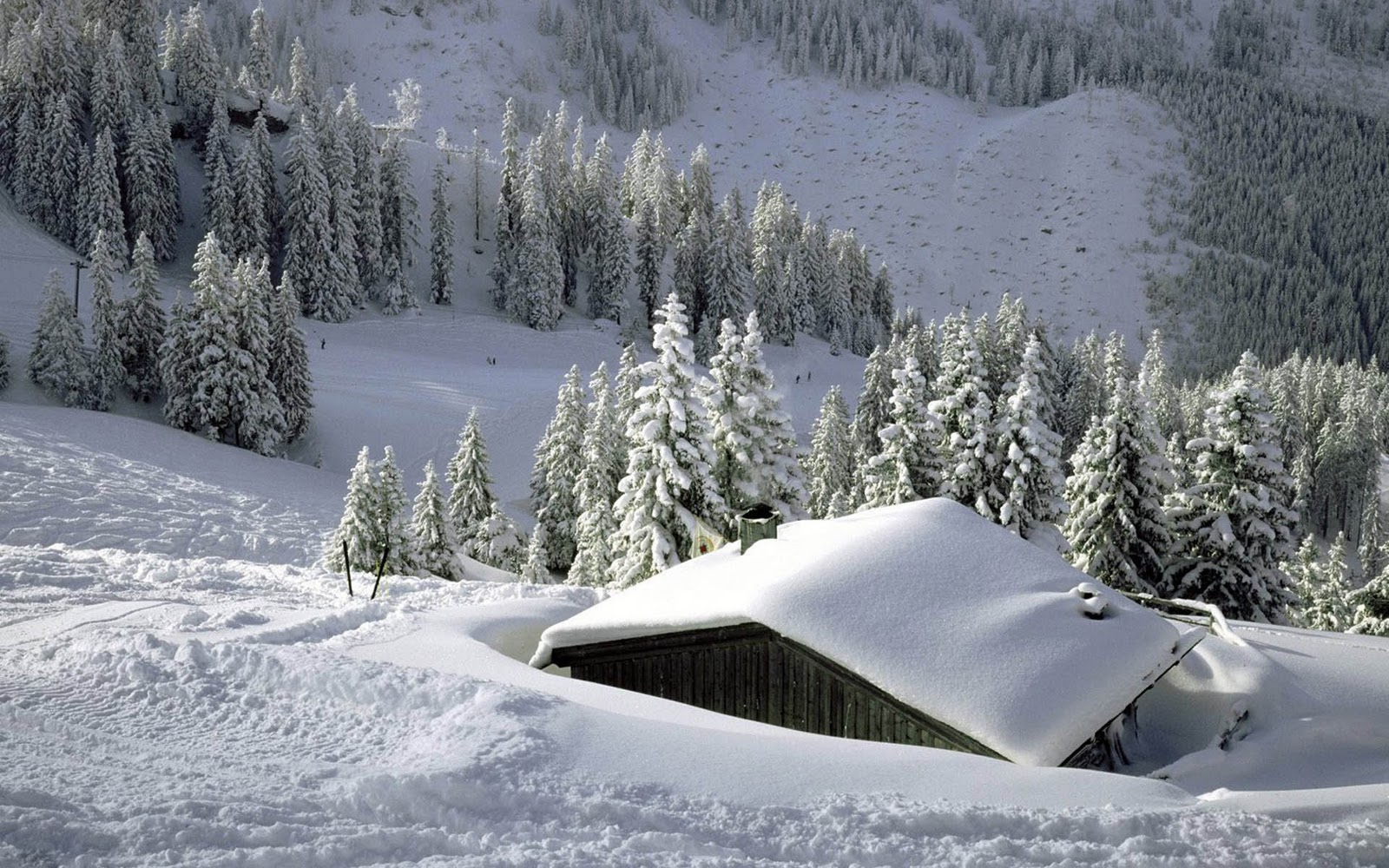 Bonewallpaper - Best desktop HD Wallpapers: Snow Desktop Wallpapers