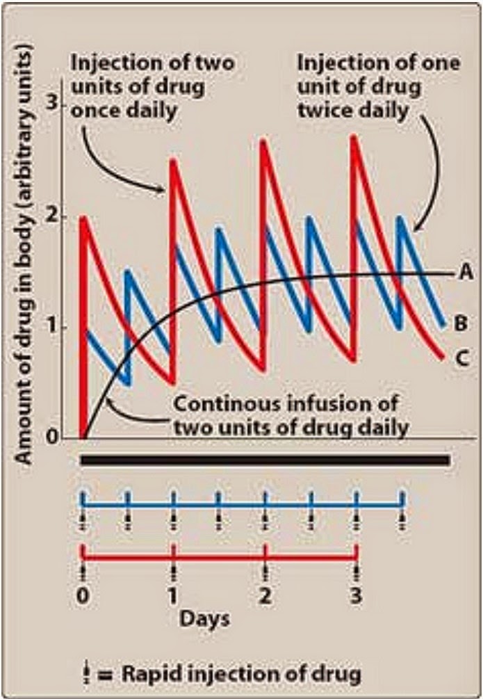 Pharmacological Blog of Continuous Administration