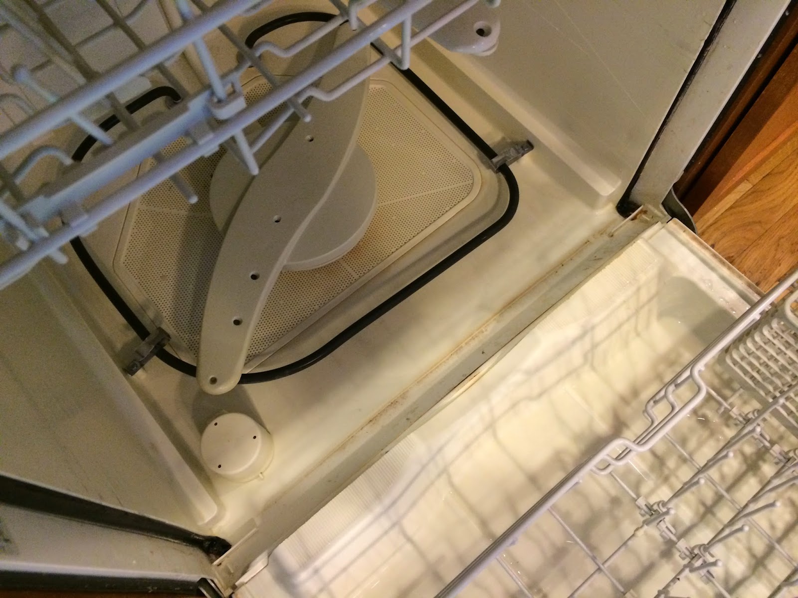 Pintest 365. Day 144 Vinegar to Clean Dishwasher (fail).