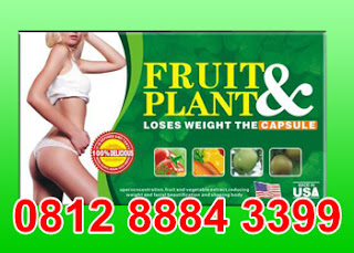 OBAT PELANGSING BADAN HERBAL 0812 8884 3399 Fruit+plant