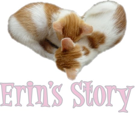Erin's Story