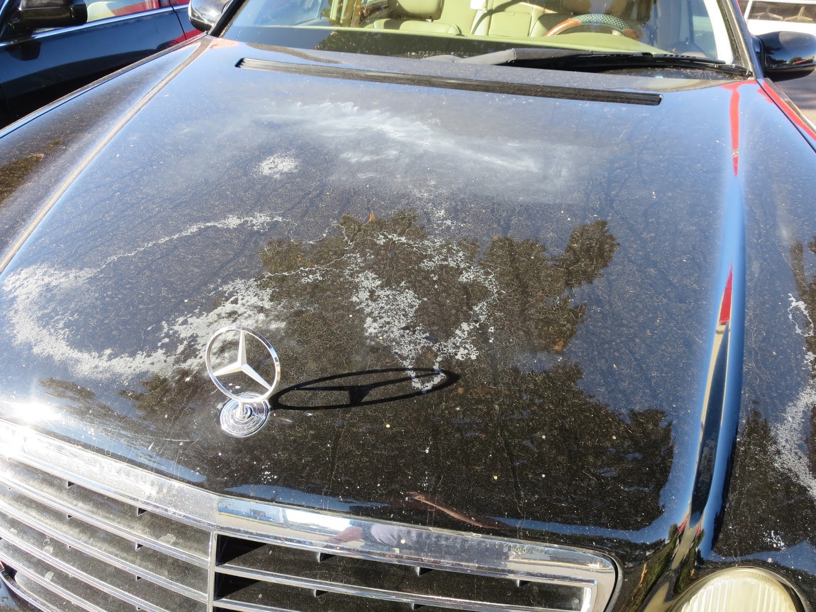 Auto BodyCollision RepairCar Paint in FremontHayward