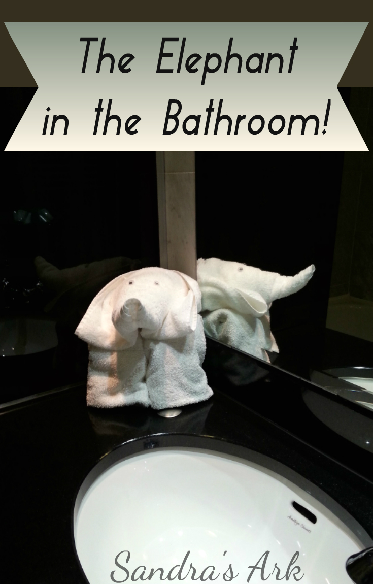 Sandra's Ark The Elephant in the Bathroom! A dose of Encouragement