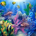 Beautiful Collection of Colourful Fish, Aquarium Fish Wallpaper