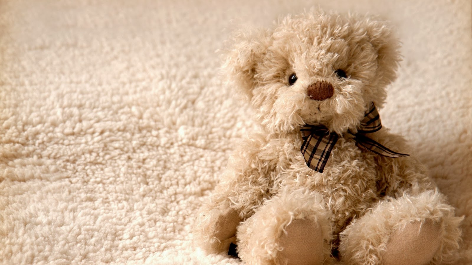 Lovely And Beautiful Teddy Bear Wallpapers - Image Wallpapers