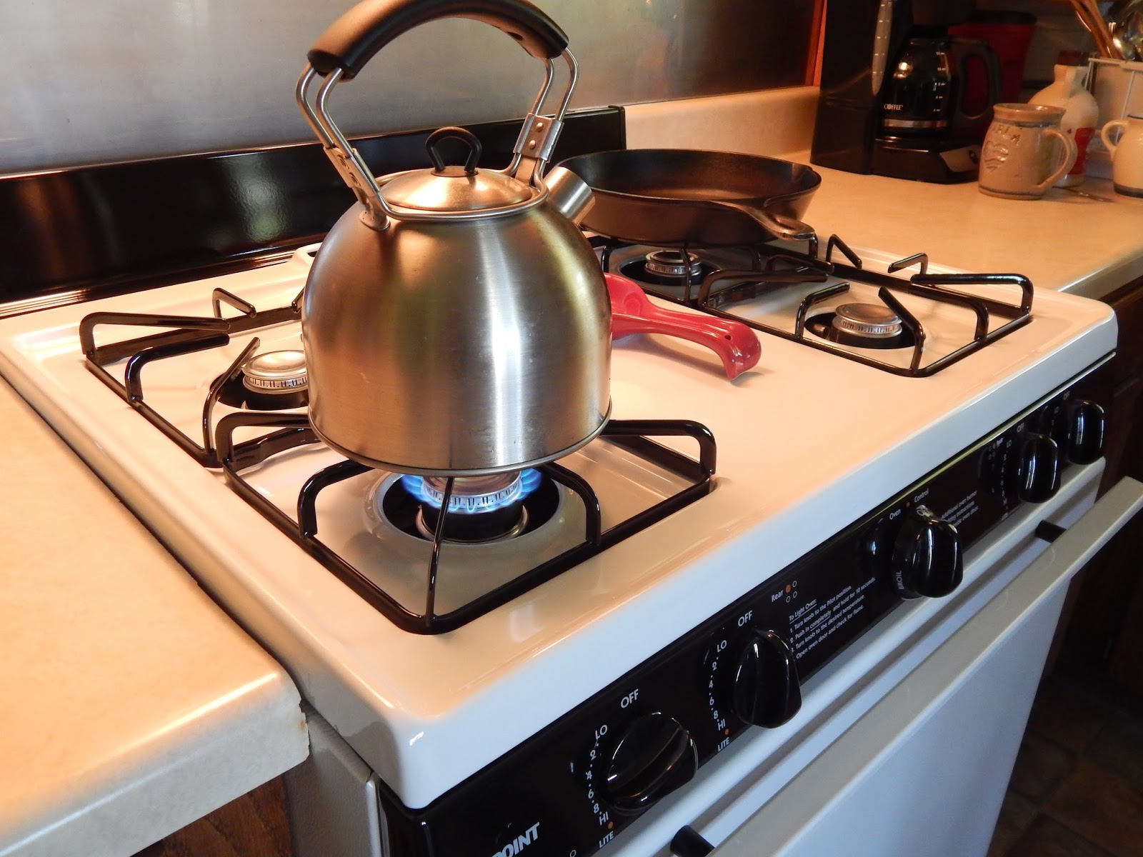 Thoughts from Frank and Fern Performance of Our Propane Cookstove with Battery Ignition