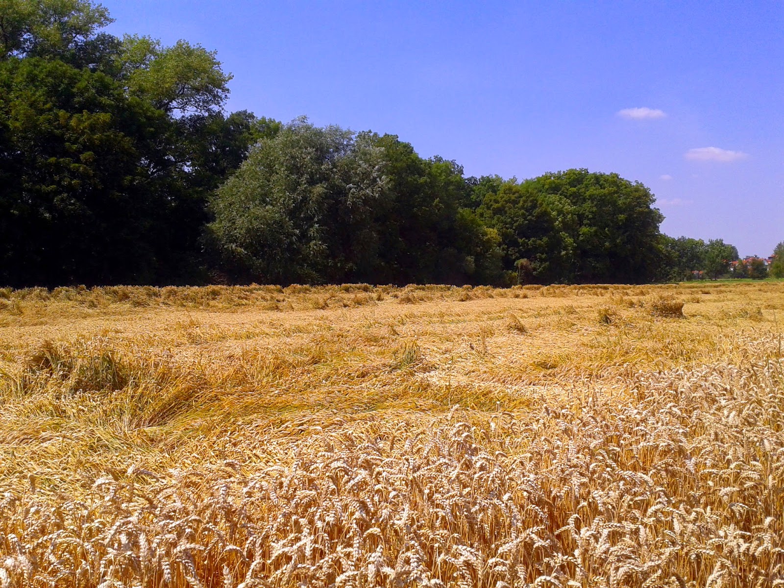 Brot Und Glanz Brot Und Glanz