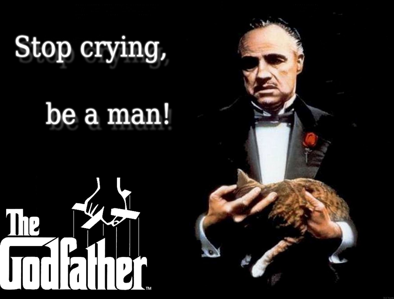 Memorable Quotes From The Godfather. QuotesGram