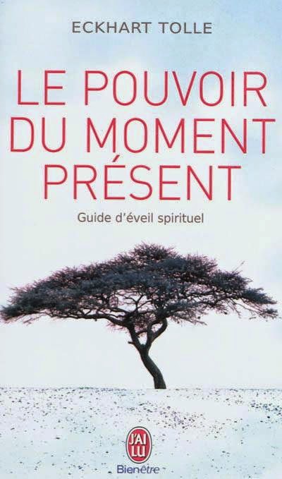 livres et lecture de développement personnel - pouvoir moment present