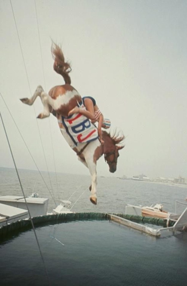 Beyaar Jigoos Picadump