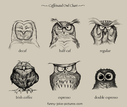 funny-caffeinated-owl-chart.jpg