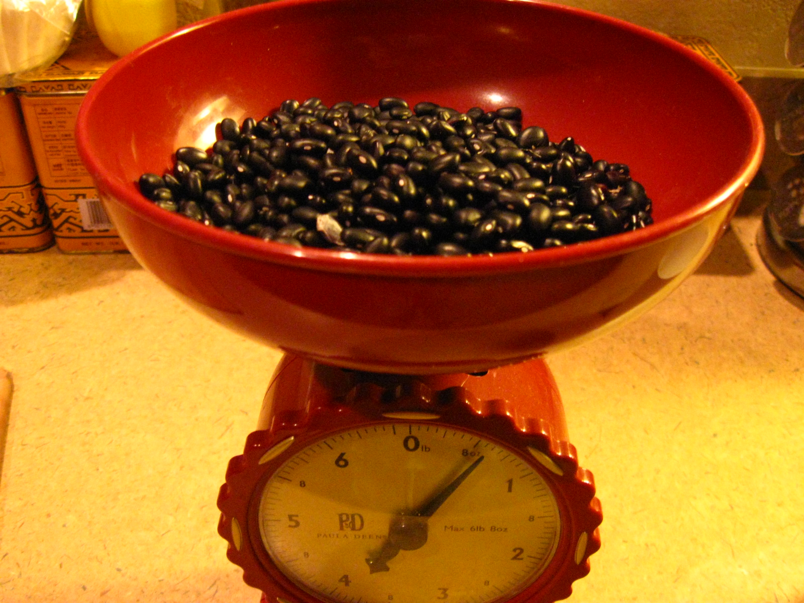 Growing Food in Florida My experiment in black bean yields