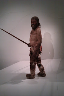 Эци в Археологическом музее в Больцано (нем. Ötzi, встречаются также варианты написания Этци и Отци)