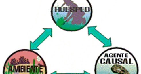 que es la triada ecologica pdf que es la triada ecologica pdf