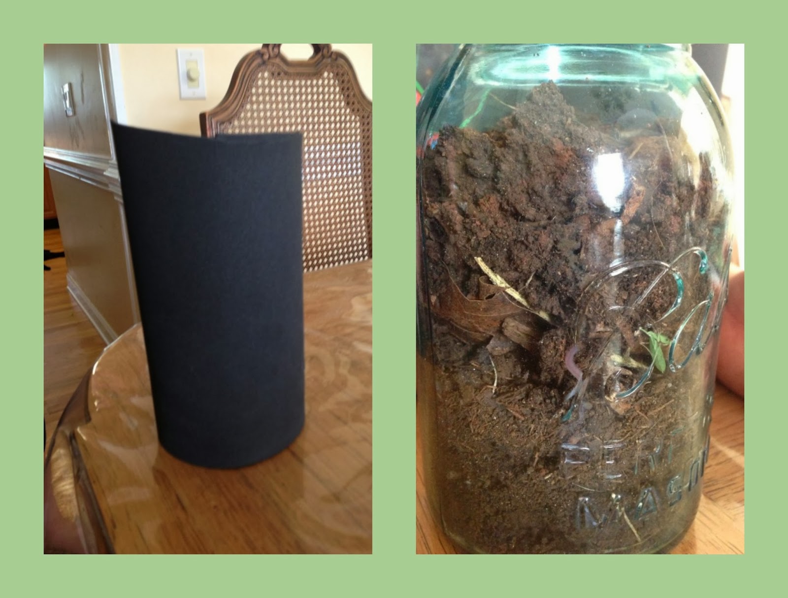 Acorn Hill Academy "Fun" with Worms