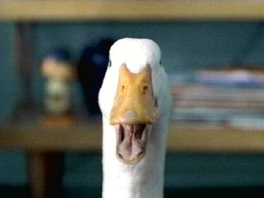 New AFLAC duck voice!