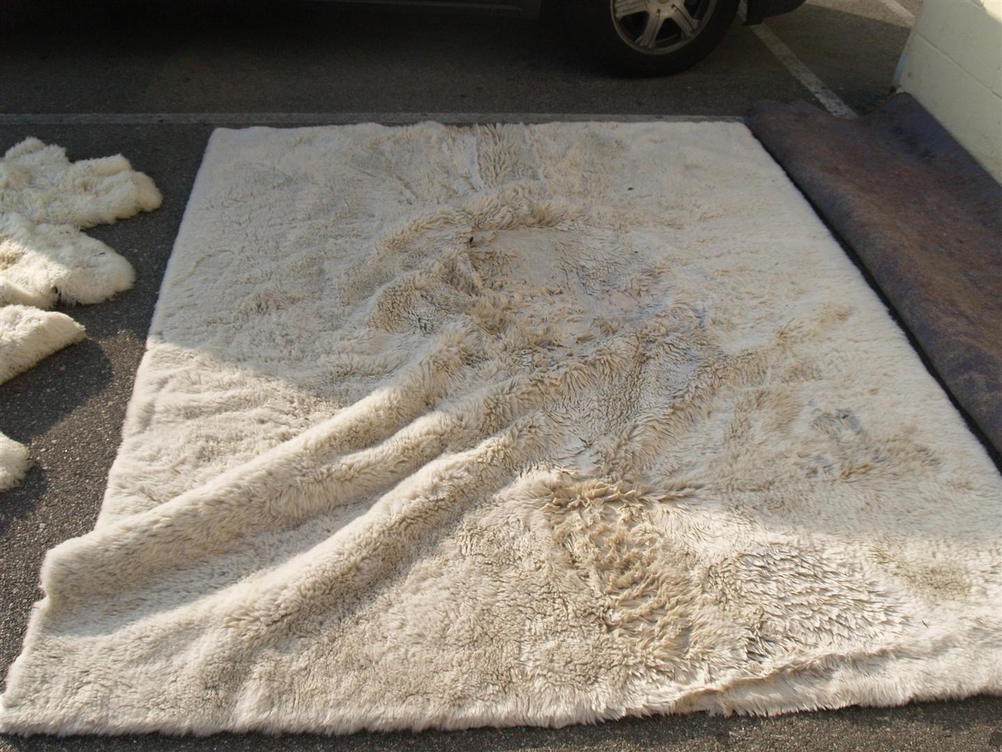 sheepskin rug cleaning rugs