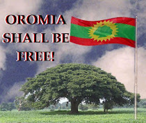 Oromo's Right