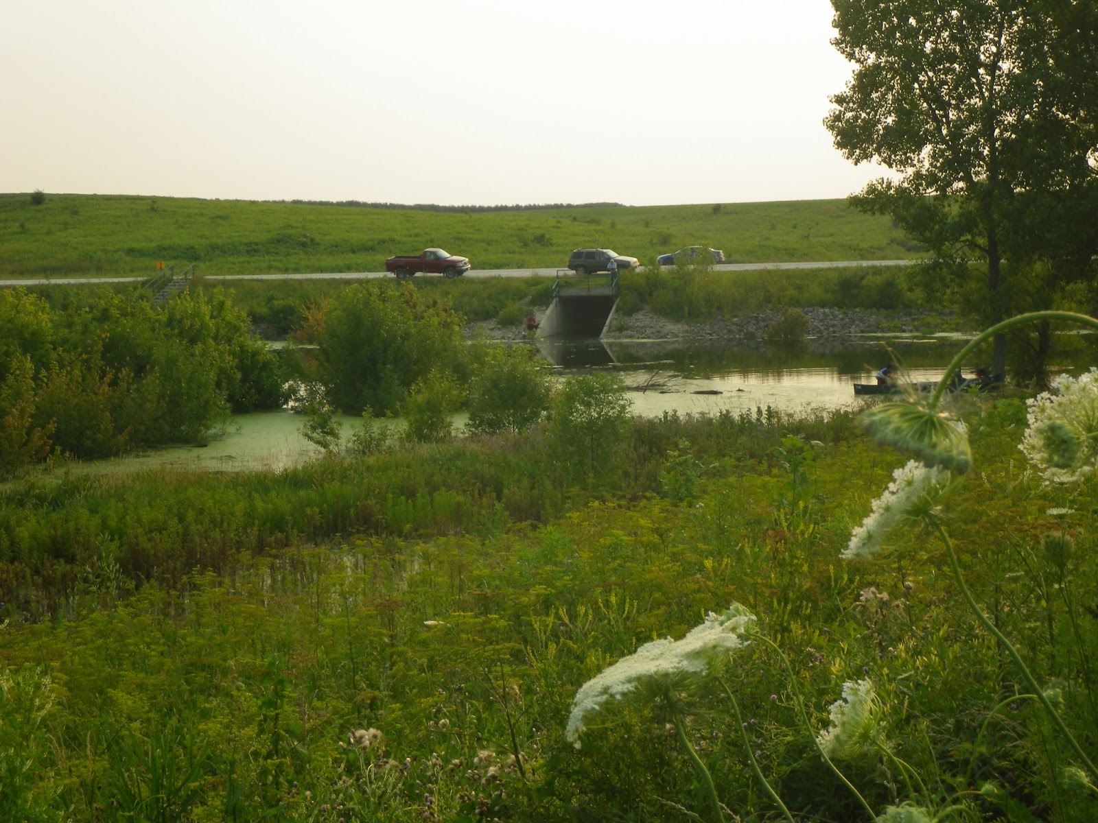 The Lost Grove Lake Mapping Project