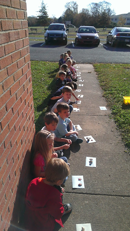 Making nature prints with the sun