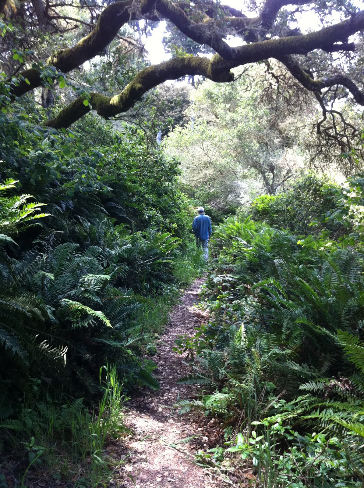 News from Marin County Three Beaches and One Hike Tomales Bay State Park