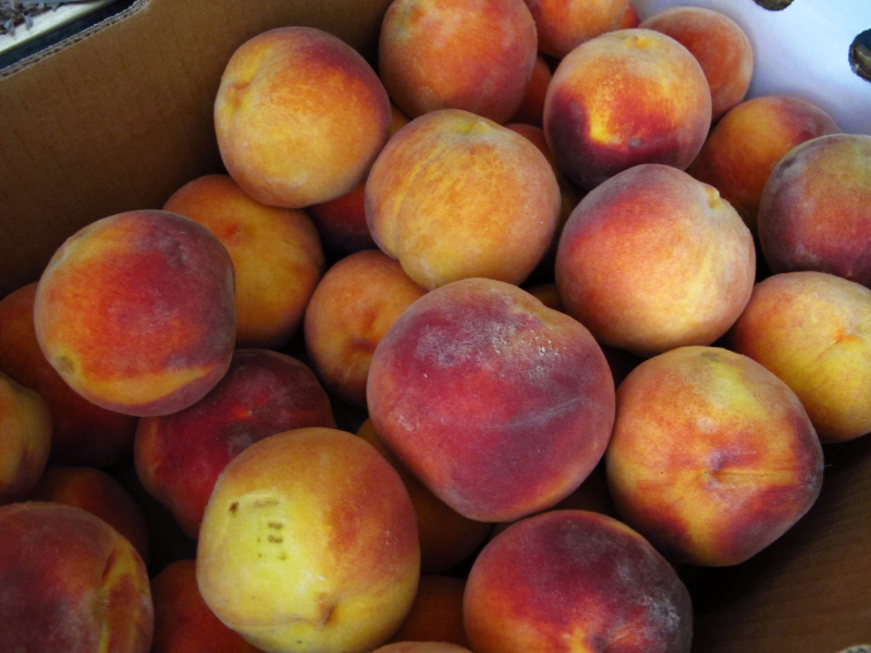 Millions of Peaches Peaches for Me
