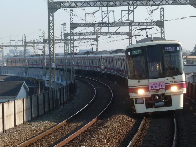 京王電鉄　急行京王多摩センター行き3　8000系(平日2本運行)