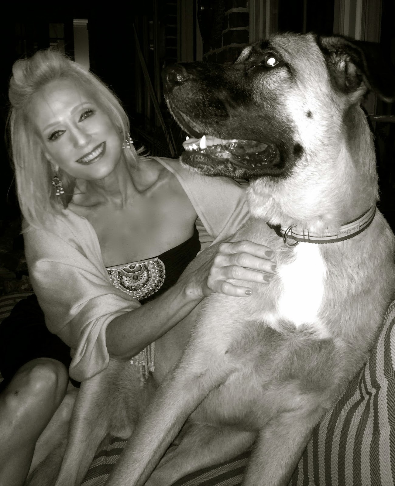 German Shepard/St. Bernard,Dog,Big Girls Need Lovin Too.