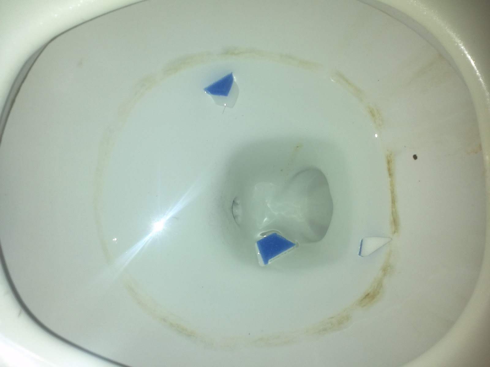 The Classy Punk Pin Test 2 Magic Eraser In Toilet