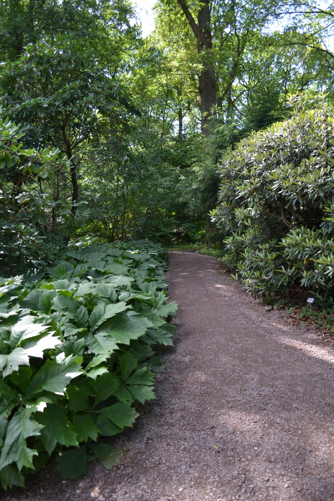 Blomsterbo: botaniska trädgården och lite inköp