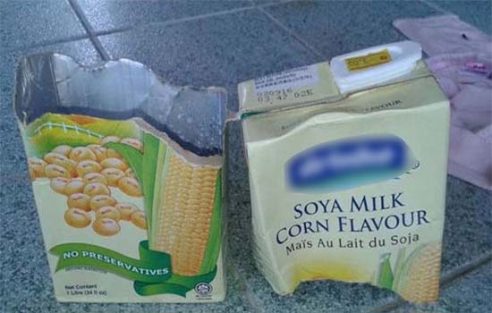Rat Found in Soy Bean Milk Rat Found in Soy Bean Milk