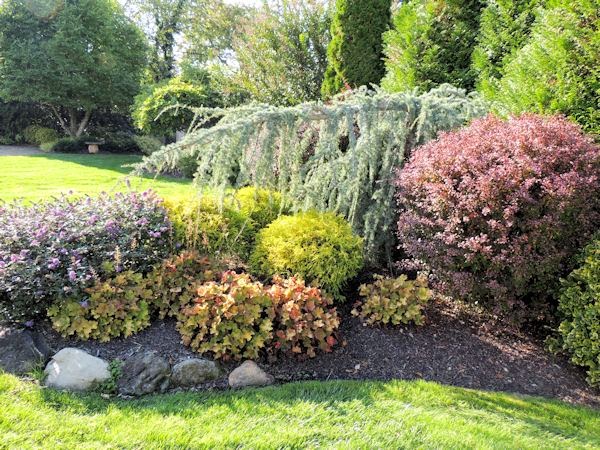 A GUIDE TO NORTHEASTERN GARDENING: Garden Bloggers' Bloom Day & Foliage