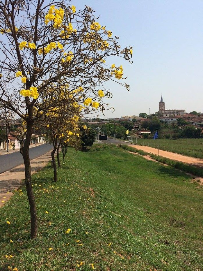 Meio Ambiente - Itajobi