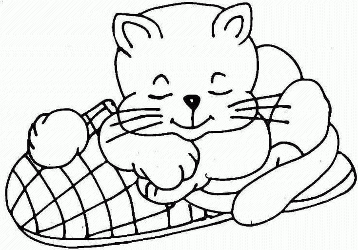 imagens de gatinhos para colorir desenhos para pintar e imprimir