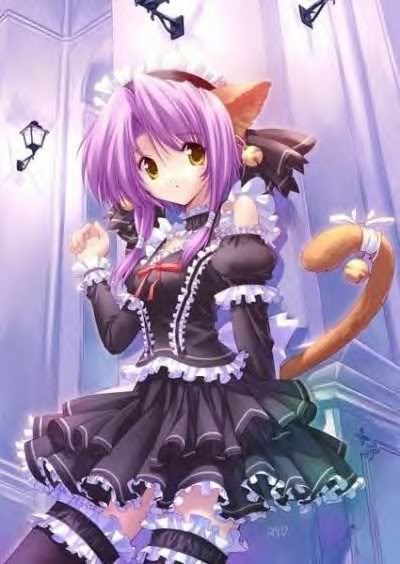 anime cute kitty