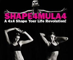 SHAPE4MULA4: a 4X4 Shape