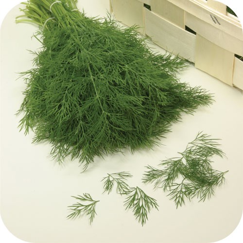 Divino Sabor Personal Chef, Receitas, Ervas, Temperos, Dicas, Boa