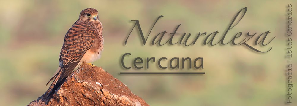 Naturaleza Cercana