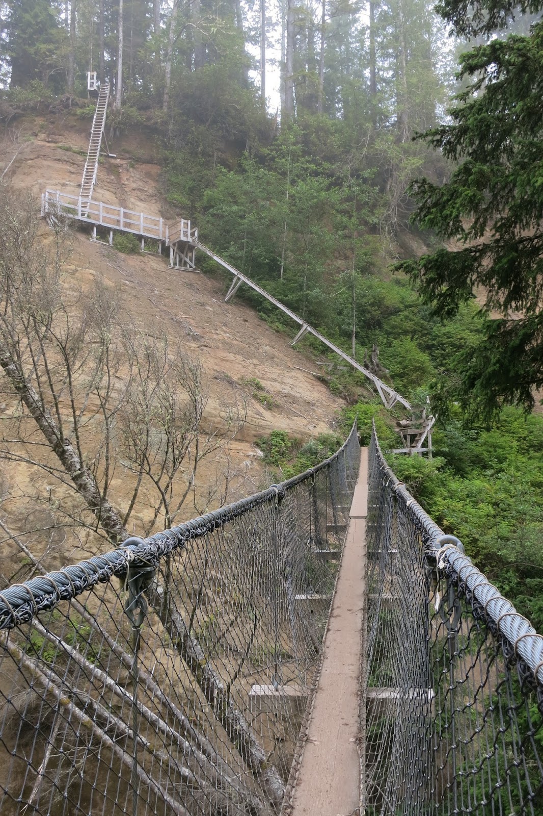 Alison Sydor The (Lovely) West Coast Trail