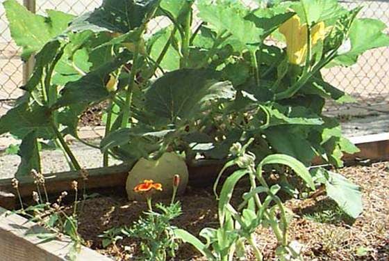 dejting i skåne jobb