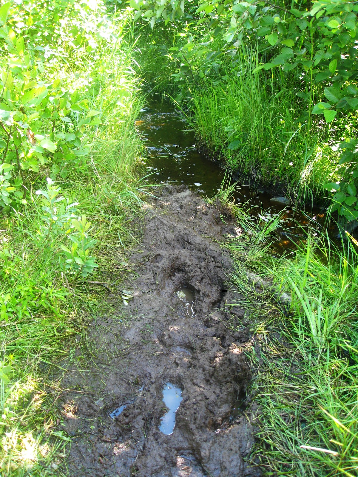 Mark and Pat's Adventures Mud Pond Carry, then Mud Pond